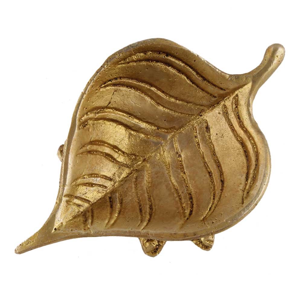 Product Details & Build Quality