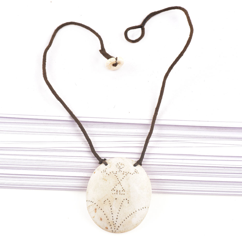 Product Details & Build Quality