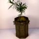 Bronze Planter-23 X 21 Inches