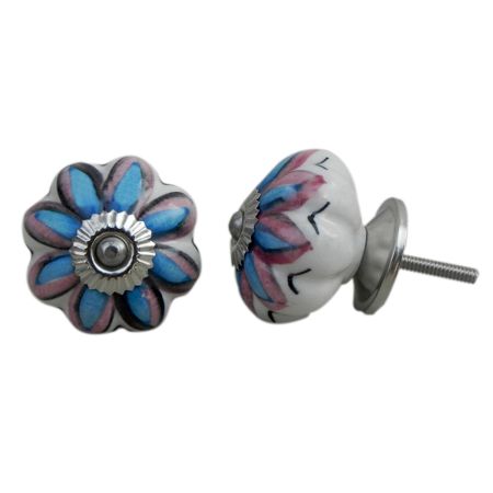 Osteospermum Knob