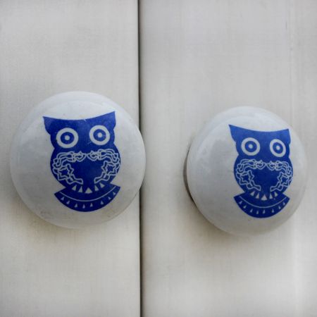 Blue Owl Flat Kids Knob