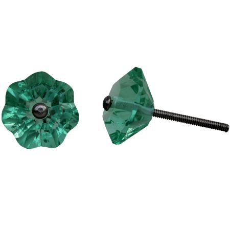 Floral Mint Color  Knob