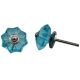 Turquoise Melon Medium Knob