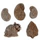 Set  of 5 Piece New Wooden Printing Block