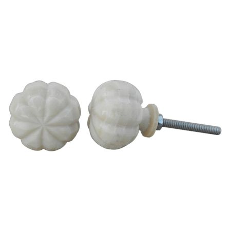 Bone Knobs Online India