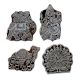 Set of 4 Piece New Wooden Printing Block
