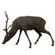Life Size Bronze Deer