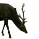 Life Size Bronze Deer
