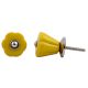 Yellow Tulip Knob