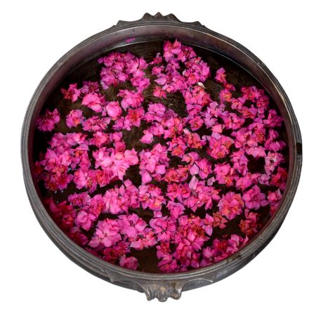 23 Inches Bell Metal(form of Bronze) Urli in Invigorating Vintage