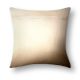 Beige And Black Cushion Cover