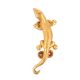 Brass Lizard Door Handles Pulls