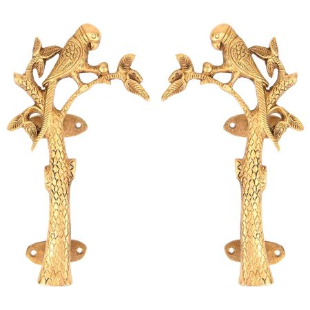 Golden Bronze Parrot On Tree Door Handle