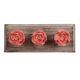 Old Pink Rose Ceramic Wooden Hooks