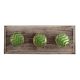 Round Green Metal and Wooden Hooks