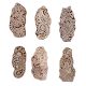 Set of 6 Piece New Mix Wooden Printing Block