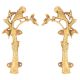 Golden Bronze Parrot On Tree Door Handle