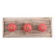 Red Amarylis Floral Etched Ceramic Wooden Hooks