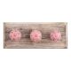 Pink Etched Ceramic Wooden Hooks