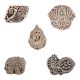 Set of 5 Piece New Mix Wooden Printing Block