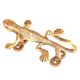 Brass Lizard Door Handle and Wall Hook