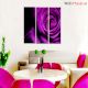 Violet Rose Premium Quality Canvas Wall Hanging