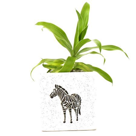 Ceramic Offwhite Zebra Bucket Planter