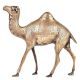 Decorative Engraved Brass Camel Staue