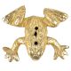Brass Handmade Frog Incense Holder