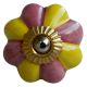 Yellow Pink Knob