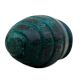 Green Beetel Wooden Knob