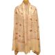 Handmade Cream Semi Pashmina Jaal Design Needle Work Shawl