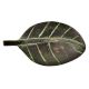 Brass Handmade Leaf Shaped Knob With Green Patina