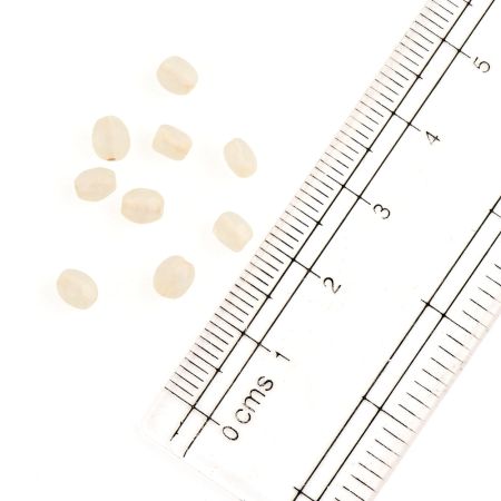 White Drum Shape Glass Beads For Jewelry Making (50 in Pack)