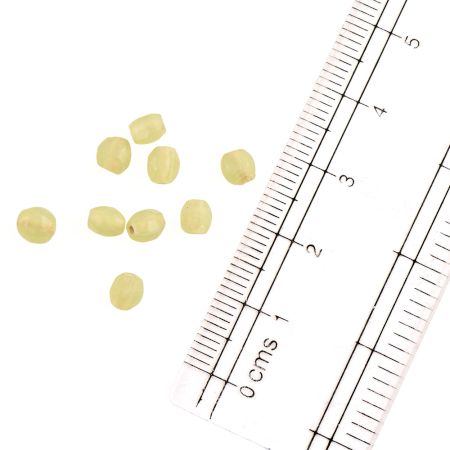 Lime Green Drum Shape Glass Beads For Jewelry Making (50 in Pack)