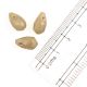 Hazel Wood Irregular Briolette Shape Glass Beads For Jewelry Making (12 in Pack)