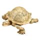 Hand Crafted Brass Turtle With Trinket Storage Hinged Lid