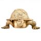 Hand Crafted Brass Turtle With Trinket Storage Hinged Lid