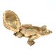 Hand Crafted Brass Turtle With Trinket Storage Hinged Lid