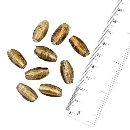 Hand Painted Metallic Golden Rondelle Shape Loose Glass Beads For Jewelry Making (12 in Pack)