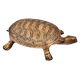 Brass Turtle Figurine Home DÃ©cor Gifting Statue