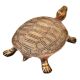 Brass Turtle Figurine Home DÃ©cor Gifting Statue
