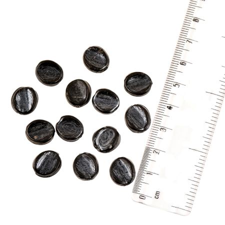 Black Grey Frosted Loose Oval Shaped Glass Beads For Making Jewelry (12 in Pack)