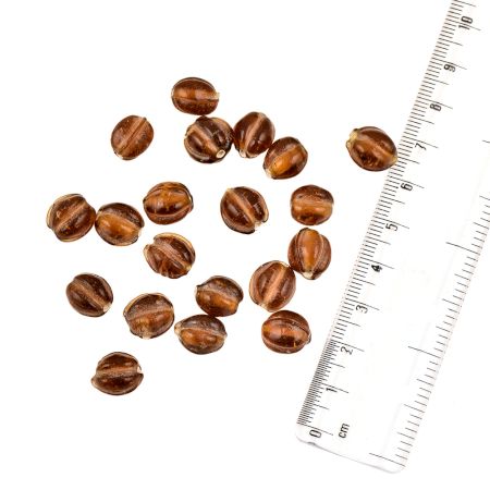 Brown Round Ball Shaped Jewelry Making Hand Painted Glass Loose Beads (12 in Pack)