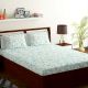 Bombay Dyeing Aqua Floral 180 TC Cotton Double 1 Bedsheet With 2 Pillow Covers