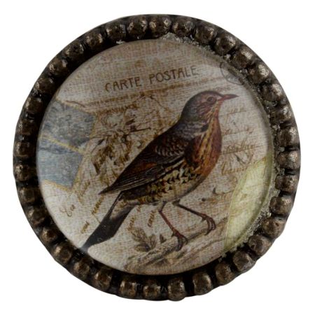 Sparrow Inside Round Iron Glass Dresser Knob