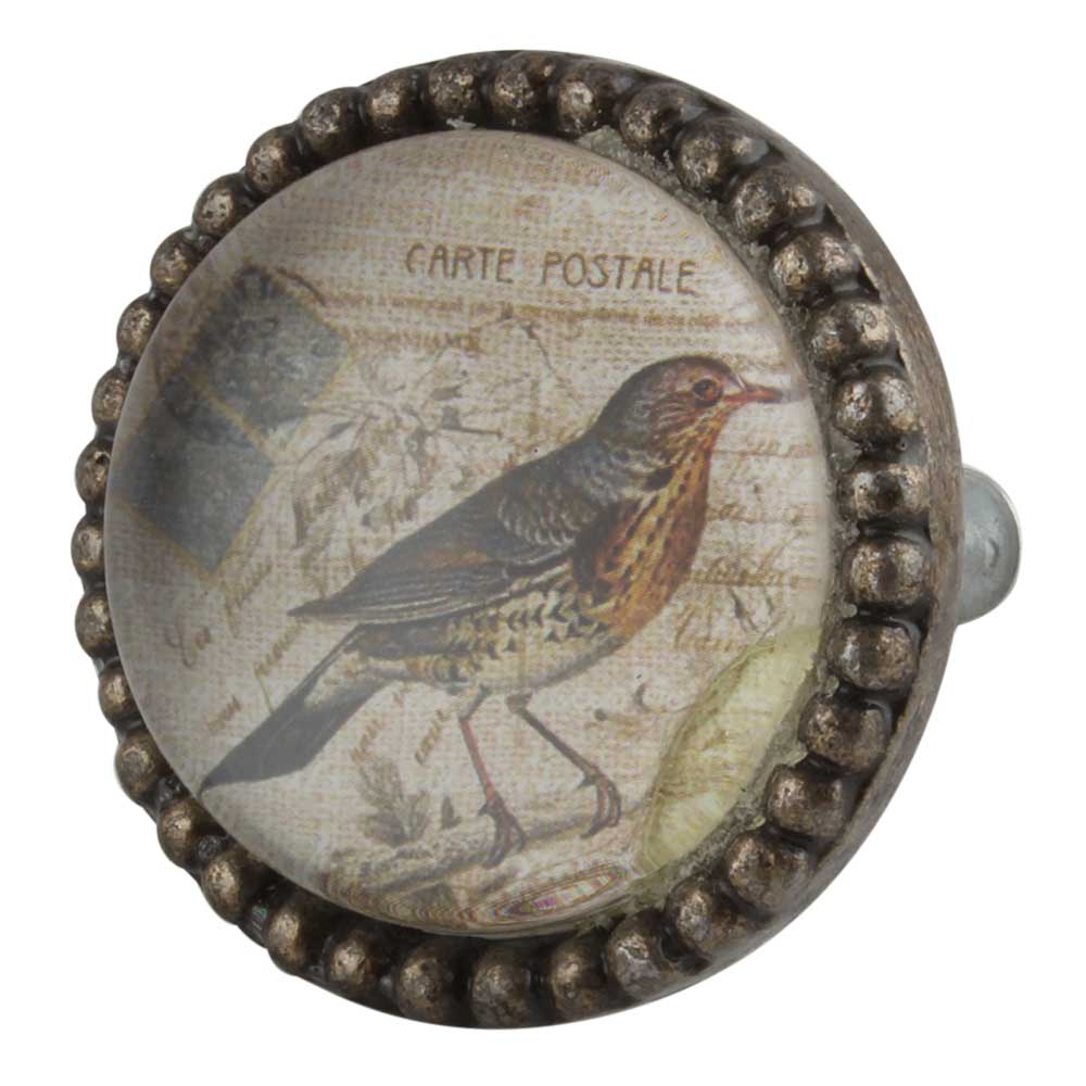 Sparrow Inside Round Iron Glass Dresser Knob