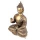 Brass Meditating Blessing Buddha With Kalash In One Hand