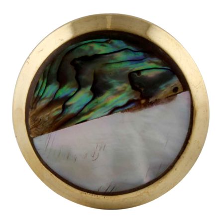Stephen Brass Shell Cabinet Knob