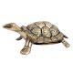 Brass Feng Shui Turtle With Yantra Design